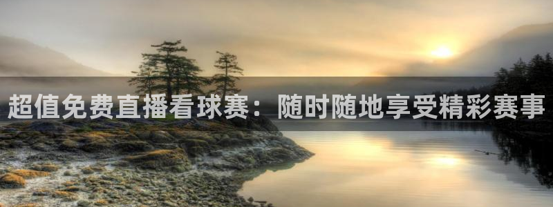 超值免费直播看球赛：随时随地享受精彩赛事