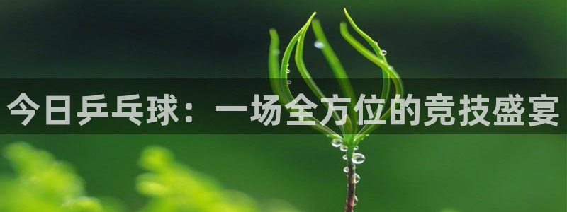 今日乒乓球：一场全方位的竞技盛宴