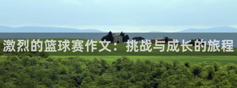 激烈的篮球赛作文：挑战与成长的旅程