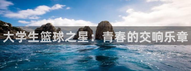 b体育官网登录入口素描：大学生篮球之星：青春的交响乐章
