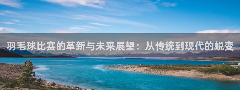 b0b体育平台涉案：羽毛球比赛的革新与未来展望：从传统到现代