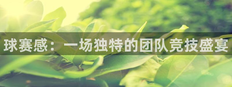 B体育官网入口在线：球赛感：一场独特的团队竞技盛宴