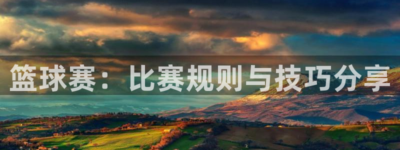 b体育官网入口素描：篮球赛：比赛规则与技巧分享